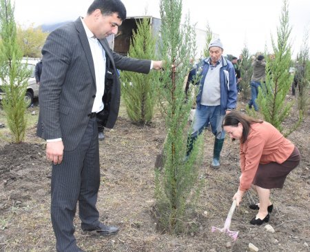 Ağsu rayonunda “Yaşıl dünya naminə həmrəylik ili” çərçivəsində ağacəkmə aksiyası keçirilib