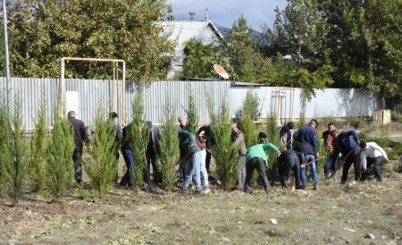 Ağsu rayonunda “Yaşıl dünya naminə həmrəylik ili” çərçivəsində növbəti ağacəkmə aksiyaları keçirilib