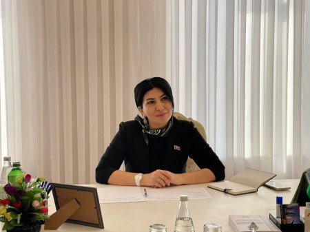 Deputat Elnarə Akimova seçicilərlə görüş keçirdi - FOTOLAR
