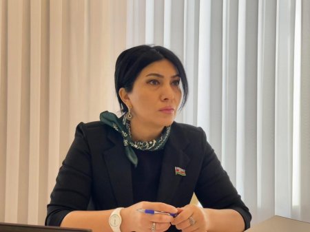 Deputat Elnarə Akimova seçicilərlə görüş keçirdi - FOTOLAR