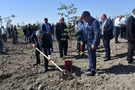 Ağsu rayonunda “27 sentyabr - Anım Günü”nün beşinci ildönümü silsilə tədbirlərlə qeyd olunur