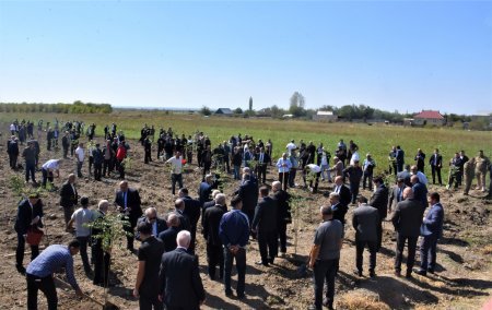 Ağsu rayonunda “27 sentyabr - Anım Günü”nün beşinci ildönümü silsilə tədbirlərlə qeyd olunur