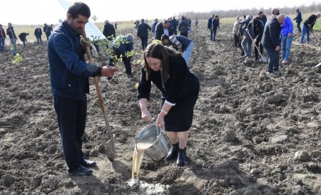 8 Noyabr - Zəfər Gününün beşinci ildönümü münasibəti ilə Ağsu-Rəhimli-Qaradağ kəndlərarası avtomobil yolunun 1,5-ci km-də ağacəkmə aksiyası keçirilib