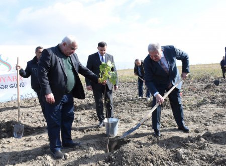 8 Noyabr - Zəfər Gününün beşinci ildönümü münasibəti ilə Ağsu-Rəhimli-Qaradağ kəndlərarası avtomobil yolunun 1,5-ci km-də ağacəkmə aksiyası keçirilib