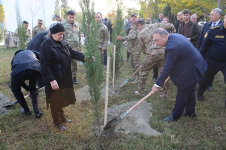 8 Noyabr - Zəfər Günü Mingəçevir şəhərində Vətənpərvərlik ruhunda keçirilir